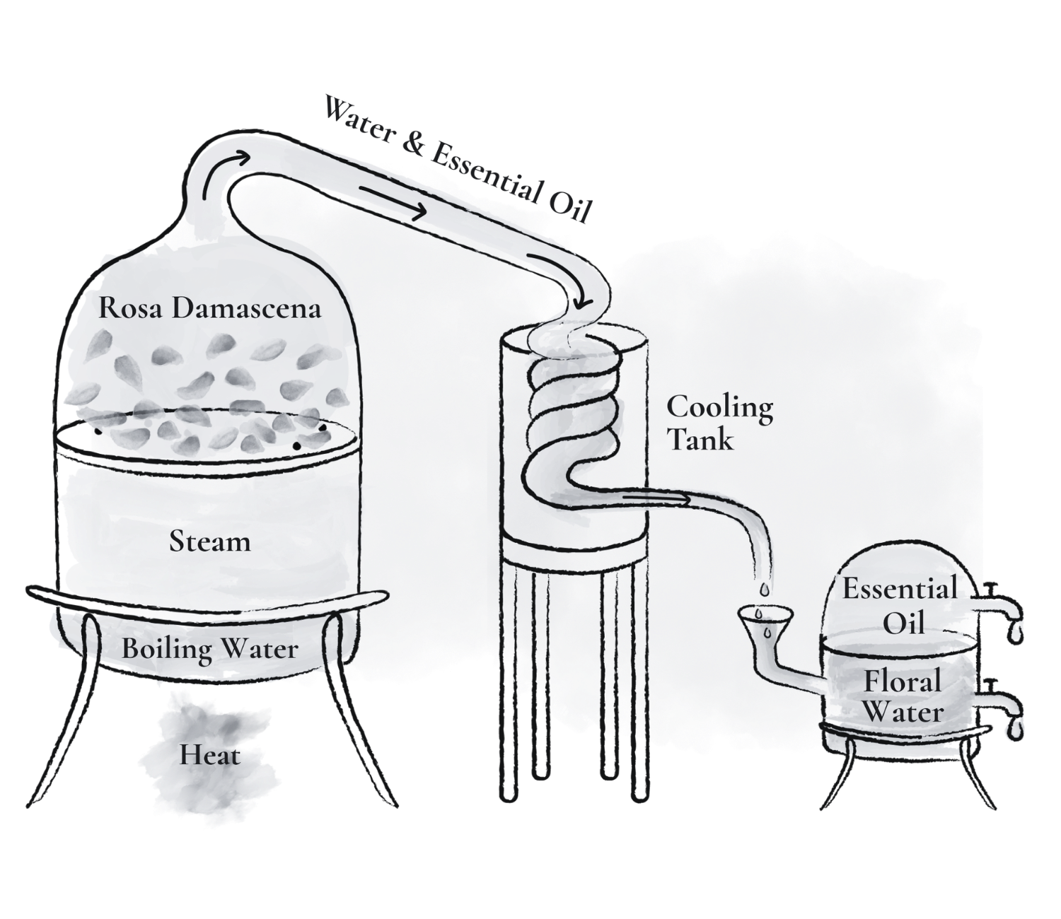 8_5d366753-95a1-405c-b6a4-3d5a00403aee