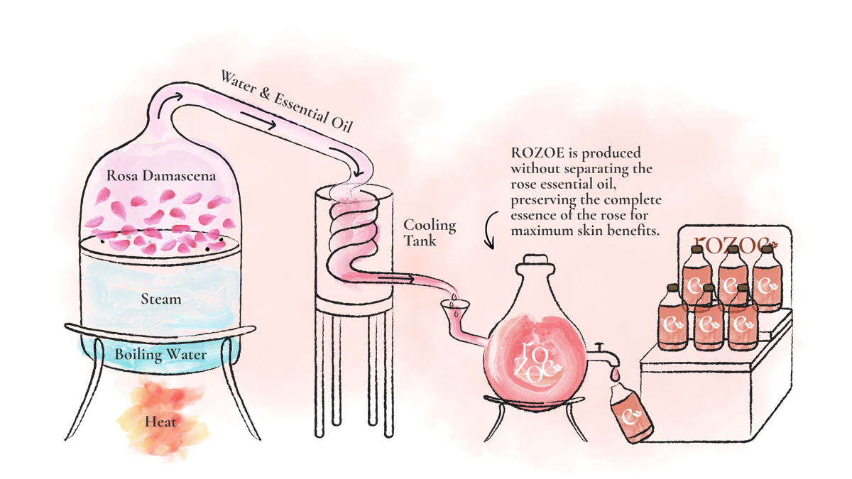 Manufacturing Process - How ROZOE Rose Water is Made | ROZOE Official