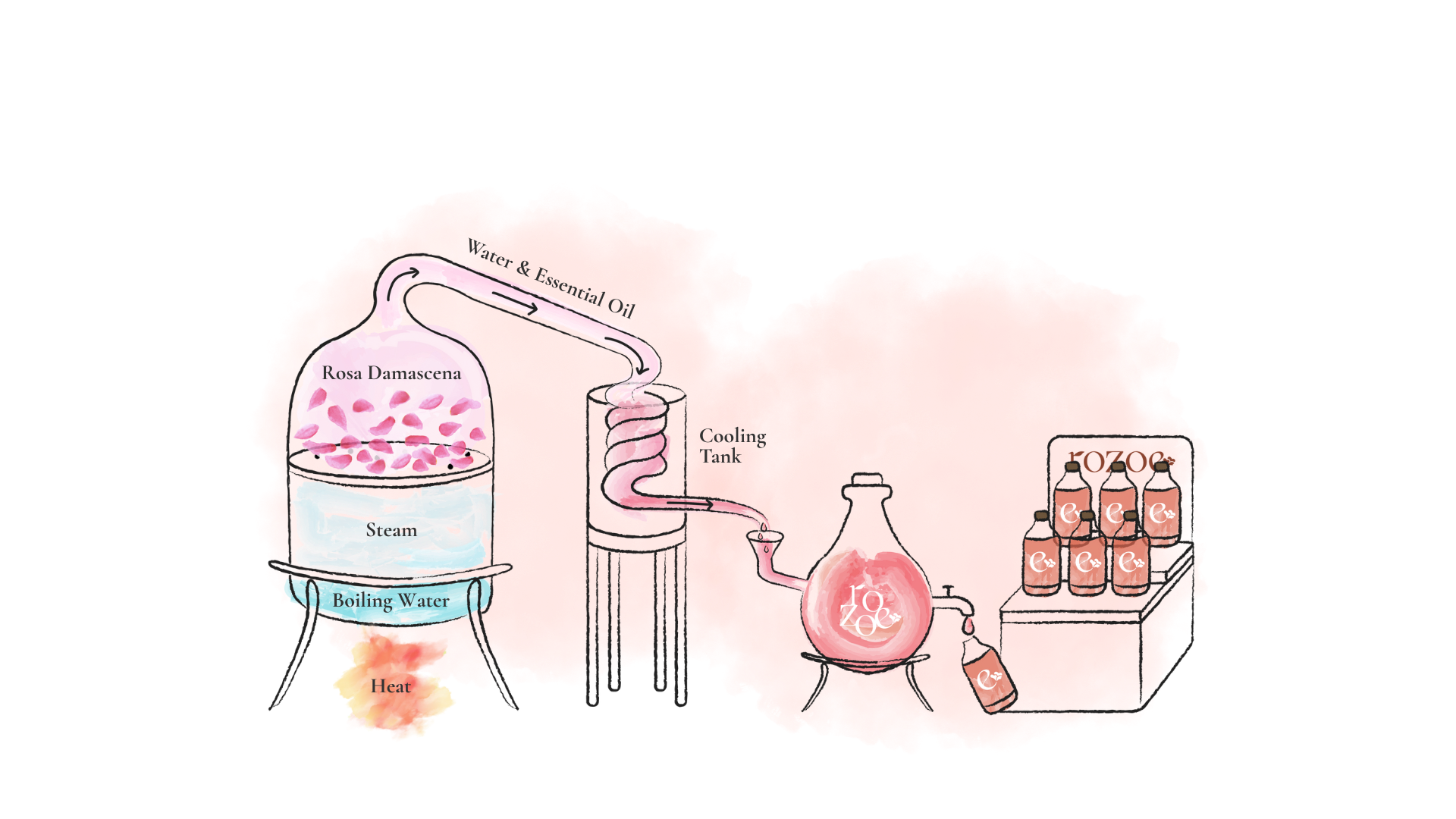 rozoe-production-process